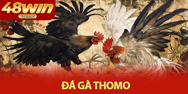 Đá Gà Thomo