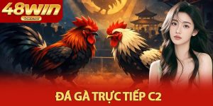 Đá Gà Trực Tiếp C2